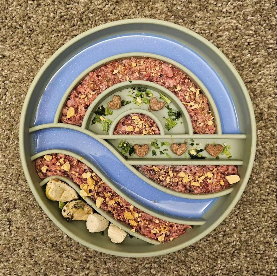 Sunrise Slow Feeder Pet Bowls