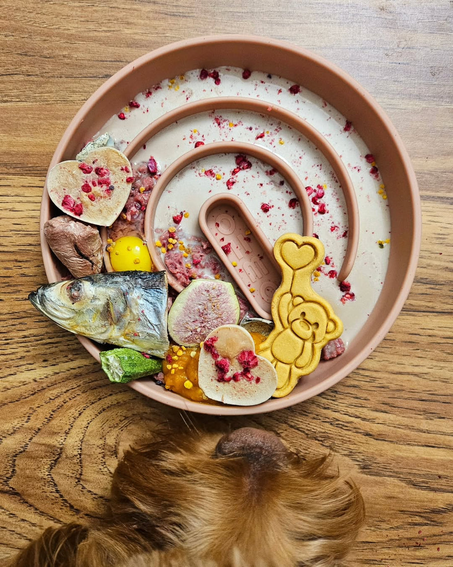 Loop Slow Feeder Pet Bowls