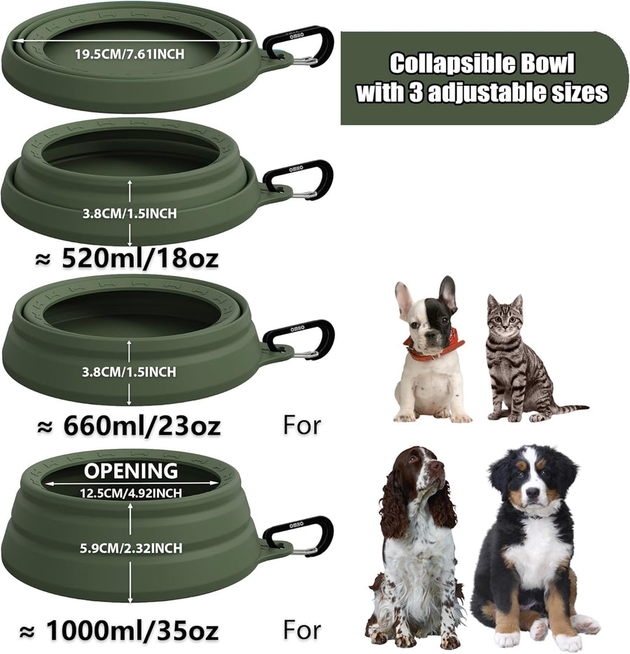 Collapsible Bowl for Road Trip