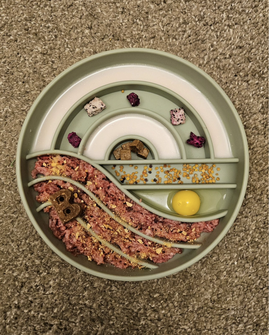 Sunrise Slow Feeder Pet Bowls