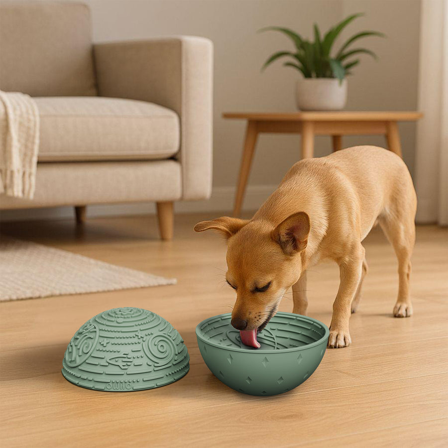 OHMO Lick Bowl w/ Wobbly Design