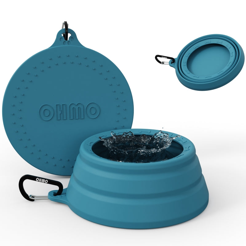Collapsible Bowl for Road Trip