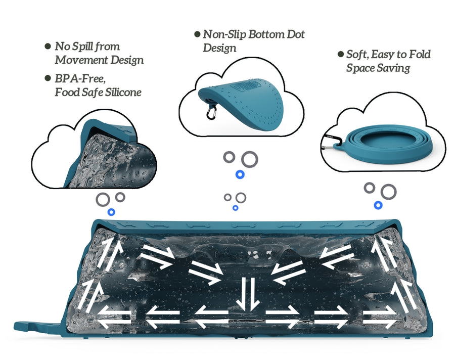 Collapsible Bowl for Road Trip