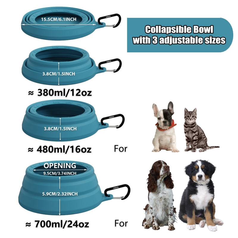 Collapsible Bowl for Road Trip
