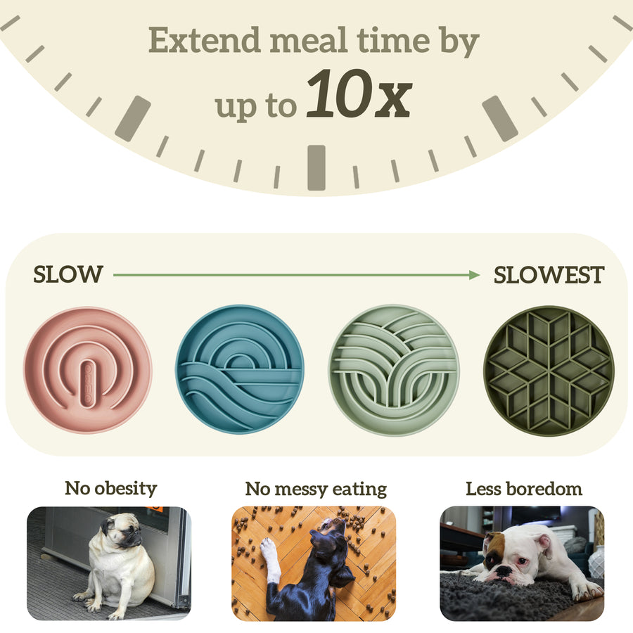 Diamond Slow Feeder Pet Bowls